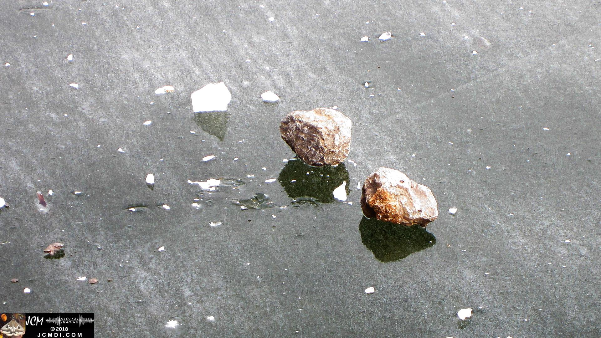 Rocks sitting on Frozen Lake in Tennessee
